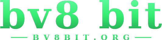 bv8 bit logo